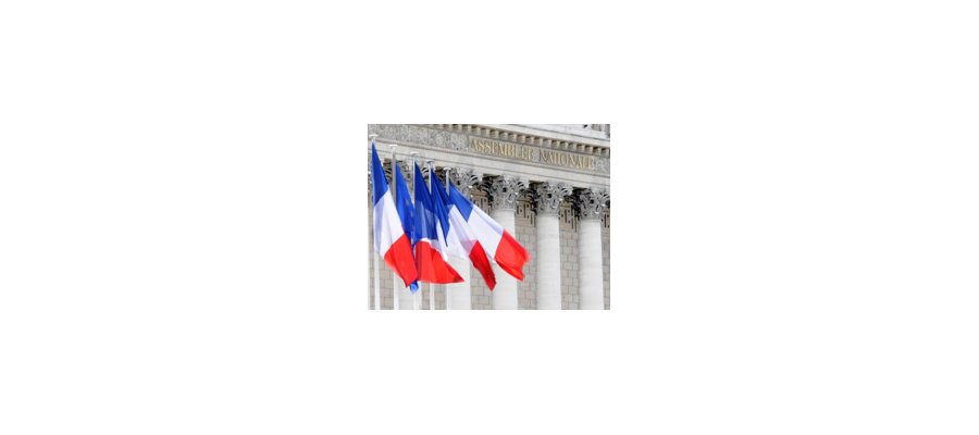 Image:Idées pour une constitution démocratique