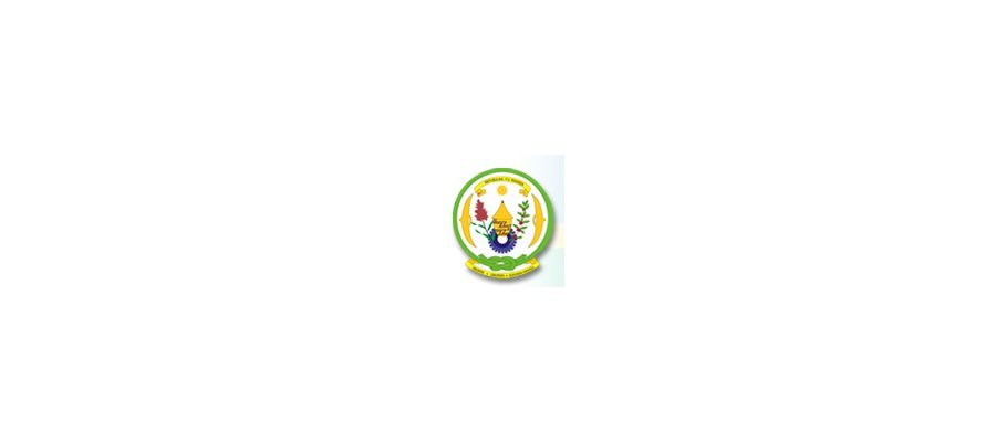 Image:Déclaration du gouvernement du Rwanda sur la « fuite » du rapport de l'ONU sur la RDC